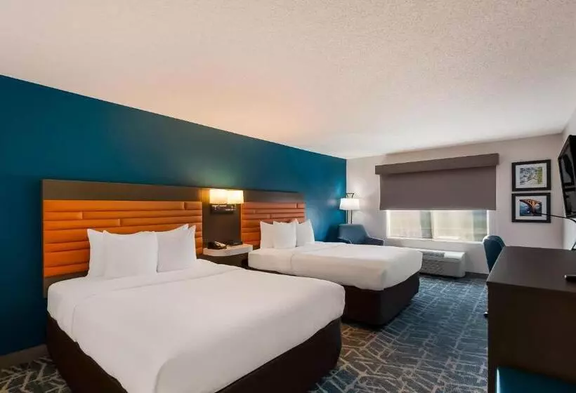 スタンダードルーム, Comfort Inn Falls Church   Tysons Corner