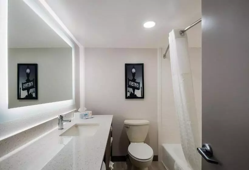 スタンダードルーム, Comfort Inn Falls Church   Tysons Corner