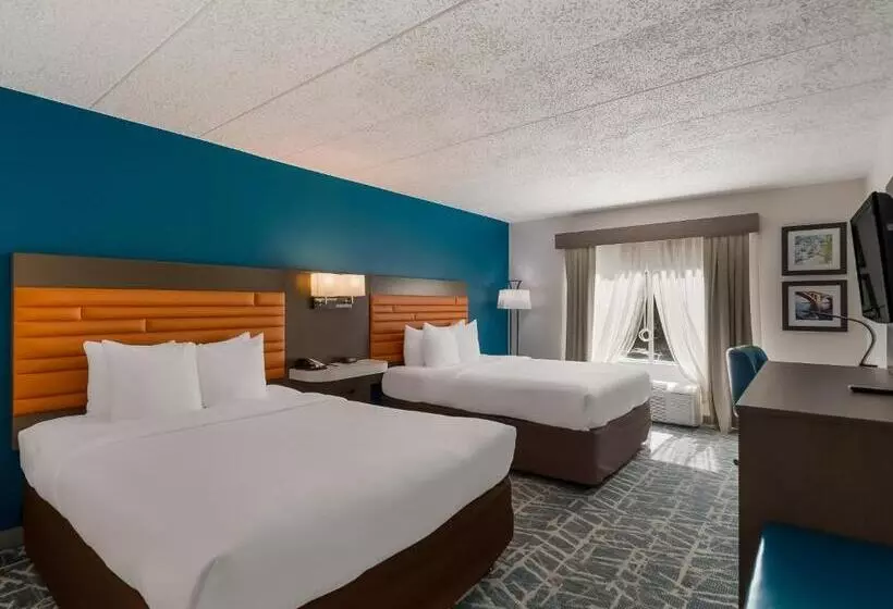 スタンダードルーム, Comfort Inn Falls Church   Tysons Corner