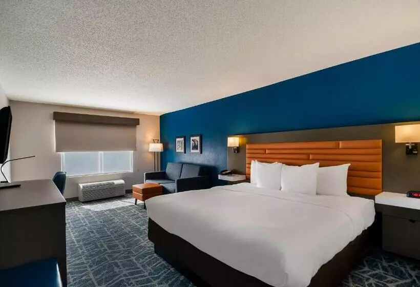 キングサイズベッドのスタンダードルーム, Comfort Inn Falls Church   Tysons Corner