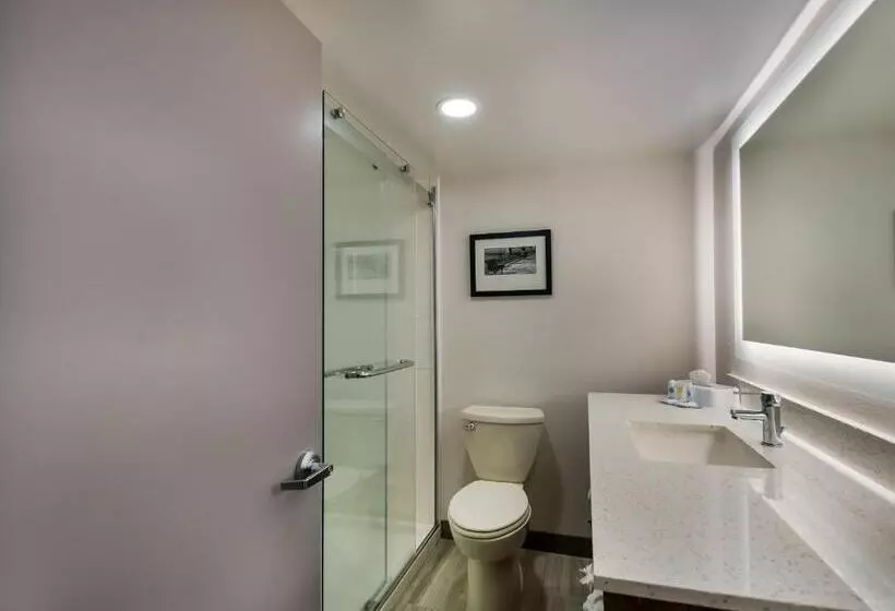 キングサイズベッドのスタンダードルーム, Comfort Inn Falls Church   Tysons Corner