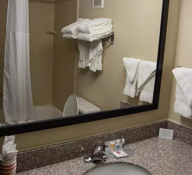 キングサイズベッドのスタンダードルーム, Comfort Inn & Suites Raphine  Lexington Near I81 And I64