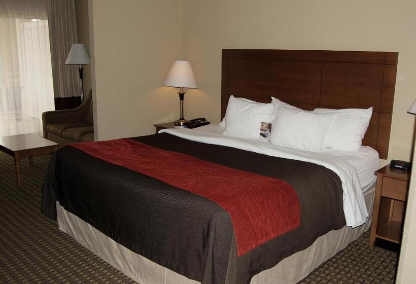 스탠다드 룸 킹사이즈 침대, Comfort Inn & Suites Raphine  Lexington Near I81 And I64
