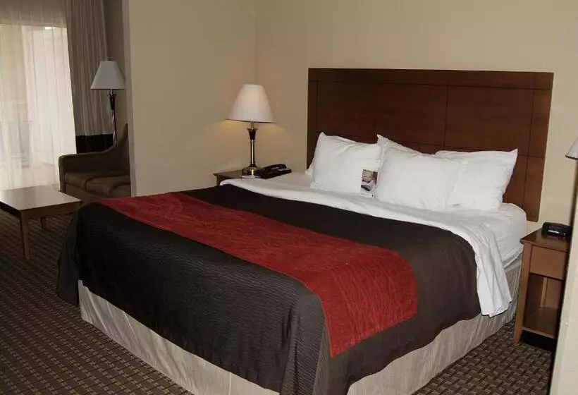 キングサイズベッドのスタンダードルーム, Comfort Inn & Suites Raphine  Lexington Near I81 And I64