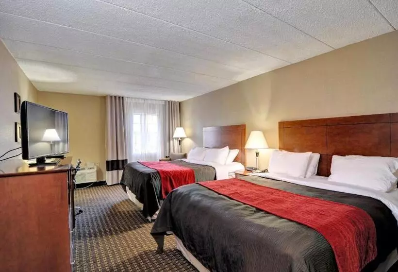 身障者適用スタンダードルーム, Comfort Inn & Suites Raphine  Lexington Near I81 And I64