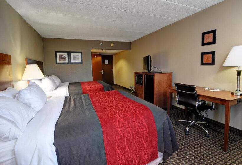 身障者適用スタンダードルーム, Comfort Inn & Suites Raphine  Lexington Near I81 And I64