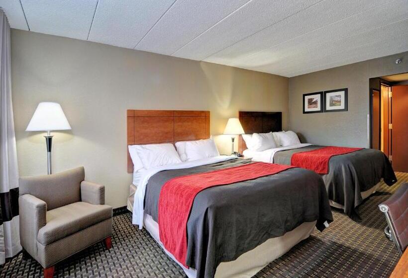 장애인을 위한 스탠다드 룸, Comfort Inn & Suites Raphine  Lexington Near I81 And I64
