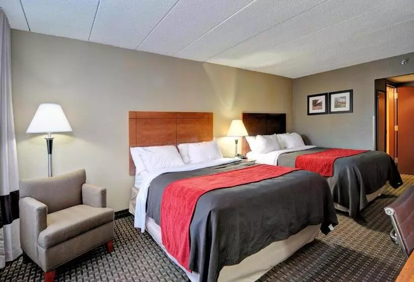身障者適用スタンダードルーム, Comfort Inn & Suites Raphine  Lexington Near I81 And I64