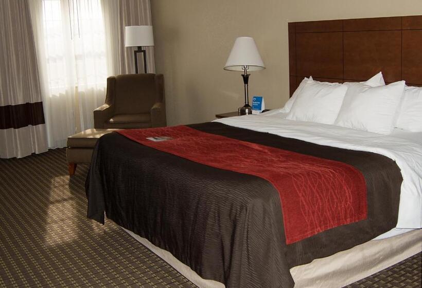 身障者適用キングサイズベッドルーム, Comfort Inn & Suites Raphine  Lexington Near I81 And I64