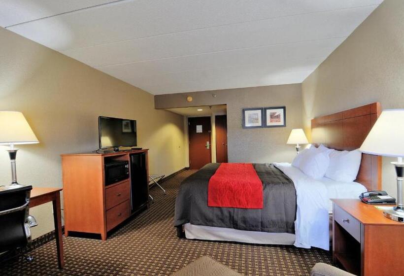 身障者適用キングサイズベッドルーム, Comfort Inn & Suites Raphine  Lexington Near I81 And I64