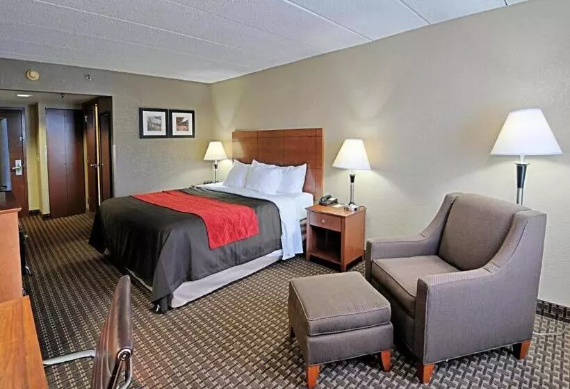 身障者適用キングサイズベッドルーム, Comfort Inn & Suites Raphine  Lexington Near I81 And I64