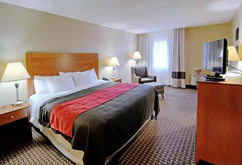 身障者適用キングサイズベッドルーム, Comfort Inn & Suites Raphine  Lexington Near I81 And I64