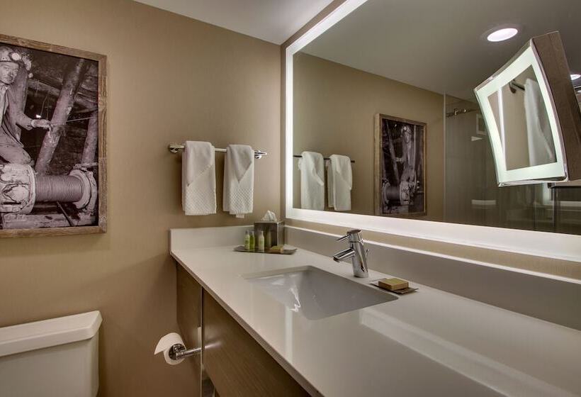 اتاق استاندارد با 2 تخت دوبل, Doubletree By Hilton Mt. Vernon