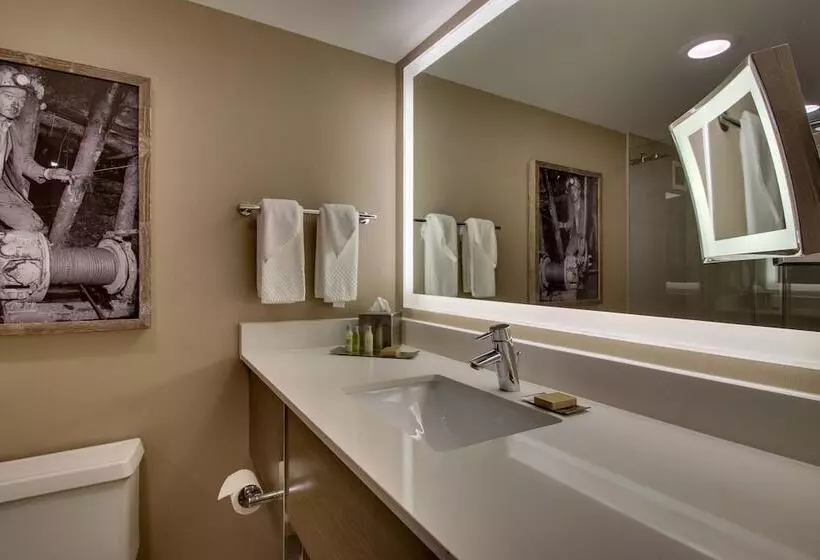 اتاق استاندارد با 2 تخت دوبل, Doubletree By Hilton Mt. Vernon