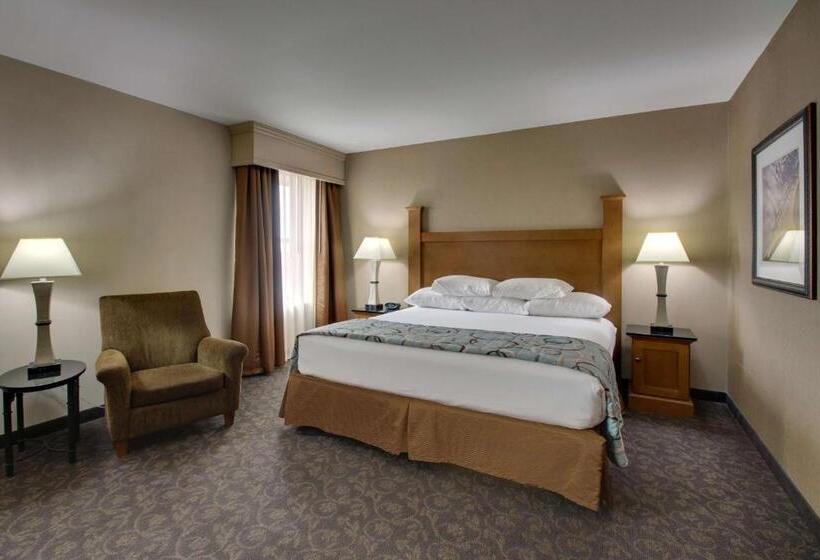 Номер Deluxe Кровать Кинг, Drury Plaza Hotel Broadview Wichita
