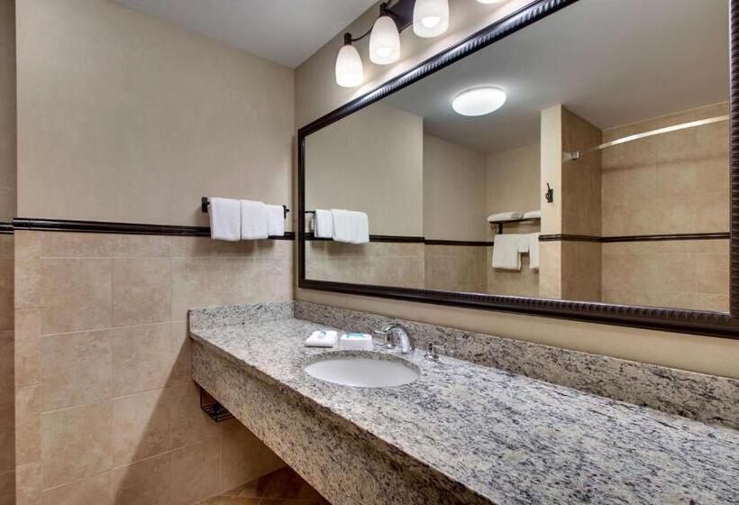 带大床的套房, Drury Plaza Hotel Broadview Wichita