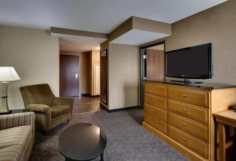 سوئیت با تخت بزرگ, Drury Plaza Hotel Broadview Wichita
