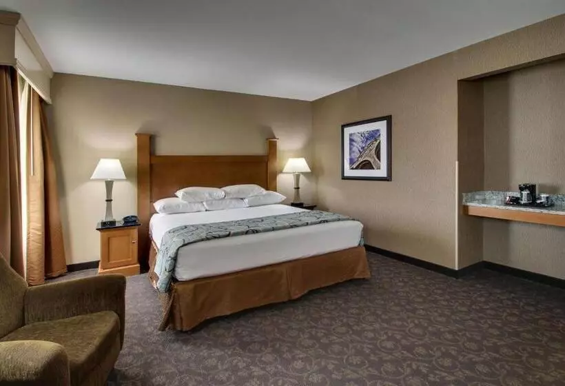 اتاق سوپریور با تخت بزرگ, Drury Plaza Hotel Broadview Wichita