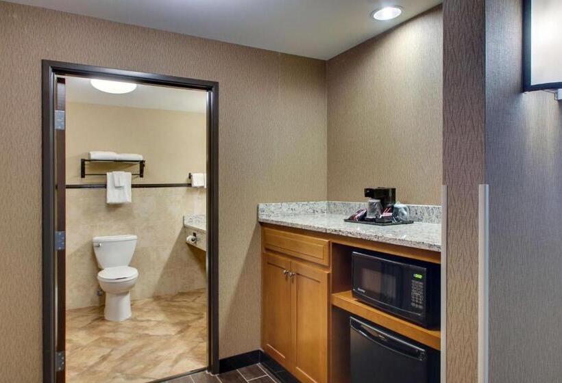 带观景的高级间, Drury Plaza Hotel Broadview Wichita