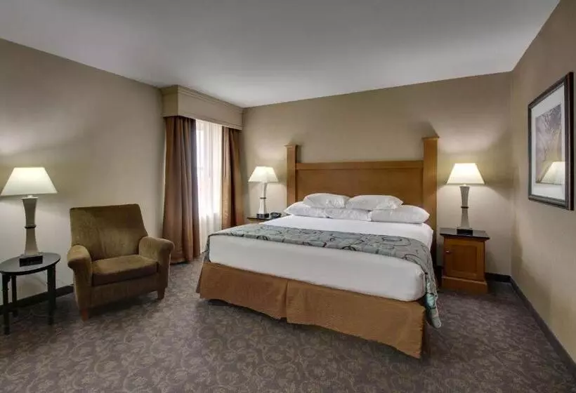 اتاق دلوکس مخصوص معلولین, Drury Plaza Hotel Broadview Wichita