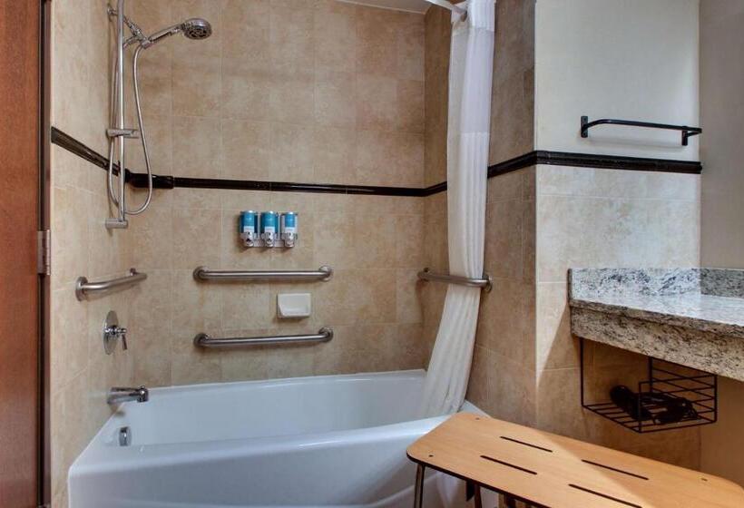 Люкс Адаптированный для Инвалидов, Drury Plaza Hotel Broadview Wichita