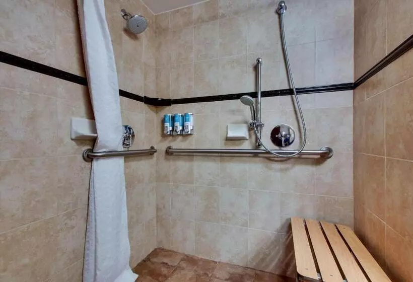 اتاق سوپریور برای معلولان, Drury Plaza Hotel Broadview Wichita