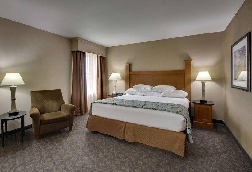 Номер Deluxe, Drury Plaza Hotel Broadview Wichita