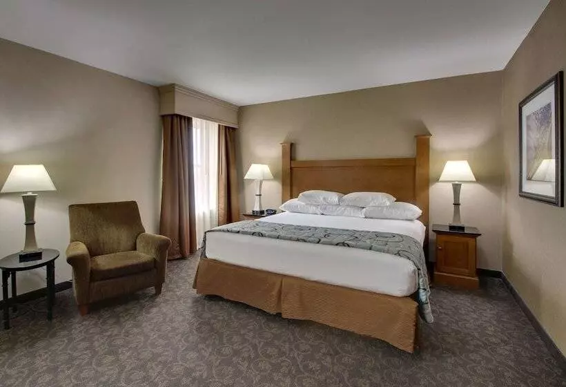 اتاق لوکس, Drury Plaza Hotel Broadview Wichita