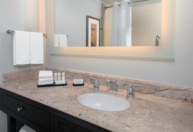 سوییت, Embassy Suites By Hilton Dallas Park Central Area