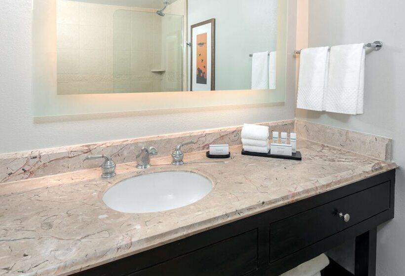 سوئیت پریمیوم, Embassy Suites By Hilton Dallas Park Central Area