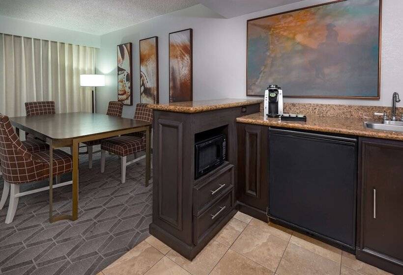 سوییت, Embassy Suites By Hilton Dallas Park Central Area