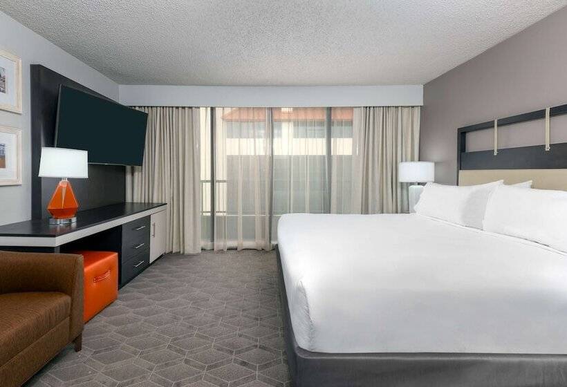 سوییت, Embassy Suites By Hilton Dallas Park Central Area