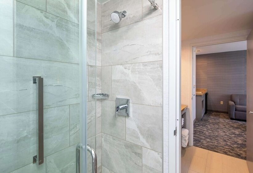 Люкс, Embassy Suites By Hilton Portland Maine