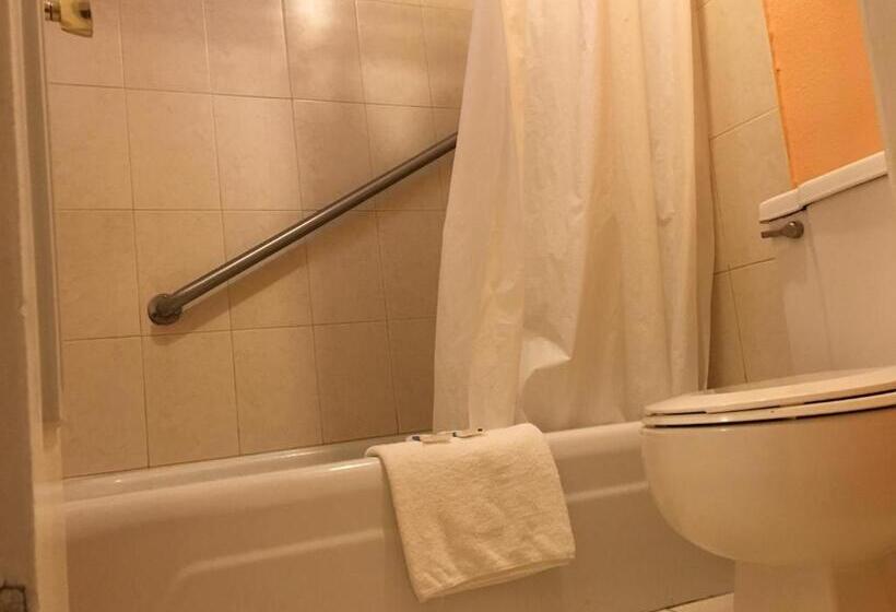 带大床的标准间, Executive Economy Lodge