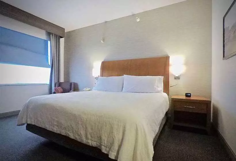 Standard-huone, Hilton Alexandria Mark Center