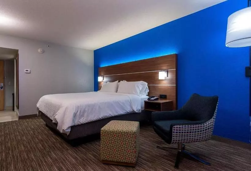 キングサイズベッドのスタンダードルーム, Holiday Inn Express Cape Coral Fort Myers Area, An Ihg