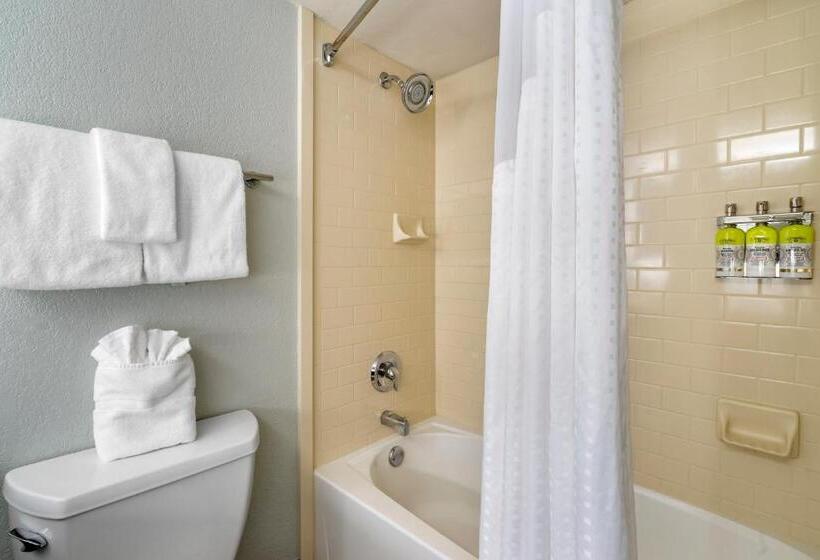غرفة قياسية, Holiday Inn Express Cape Coral Fort Myers Area, An Ihg