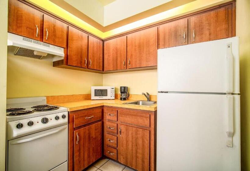 غرفة قياسية مطلّة علي البحر, Perry S Oceanedge Resort