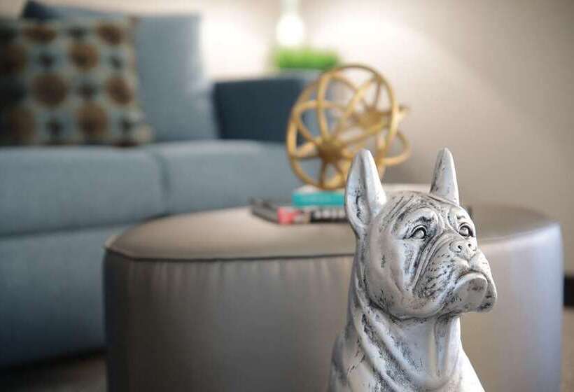 غرفة قياسية سرير كينج, Phillips Kansas City Curio Collection By Hilton