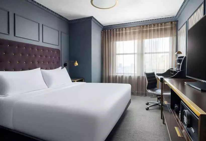 اتاق عادی, Phillips Kansas City Curio Collection By Hilton