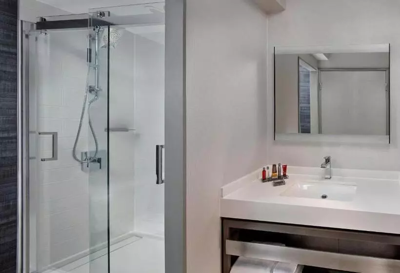 اتاق دلوکس مخصوص معلولین, Marriott Providence Downtown