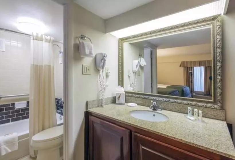 ２ダブルベッドのスタンダードルーム, Quality Inn Savannah Historic District