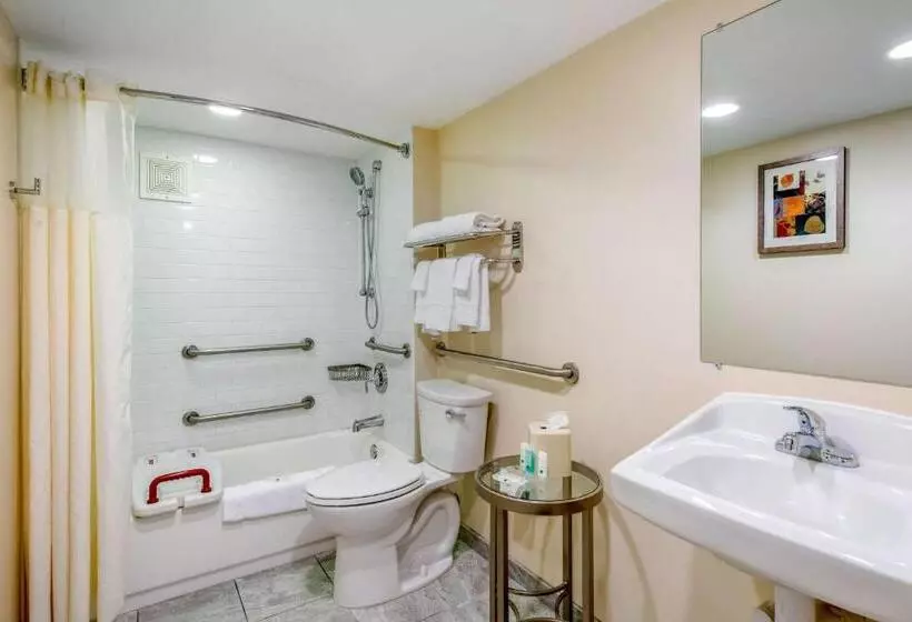 身障者適用キングサイズベッドルーム, Quality Inn Savannah Historic District