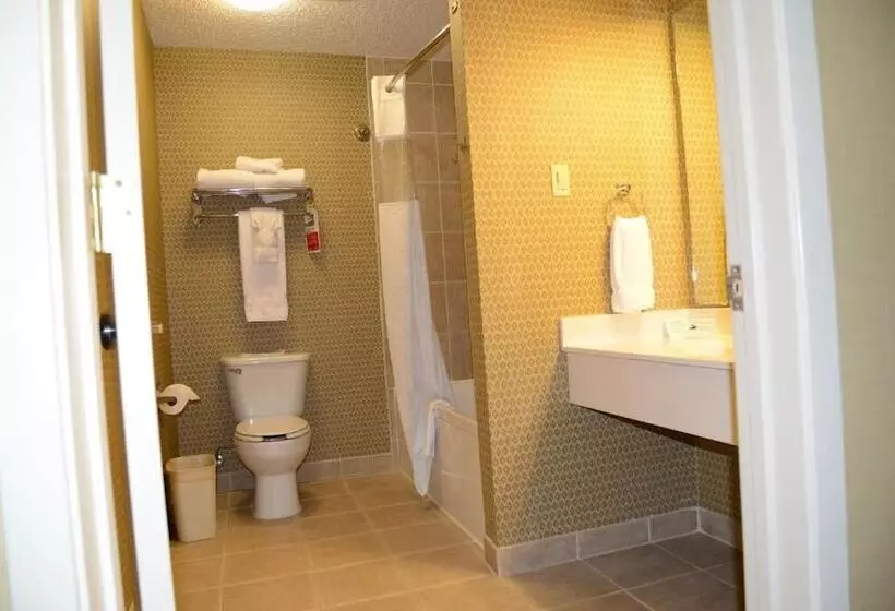 اتاق کلاس بیزنس, Ramada By Wyndham Del Rio