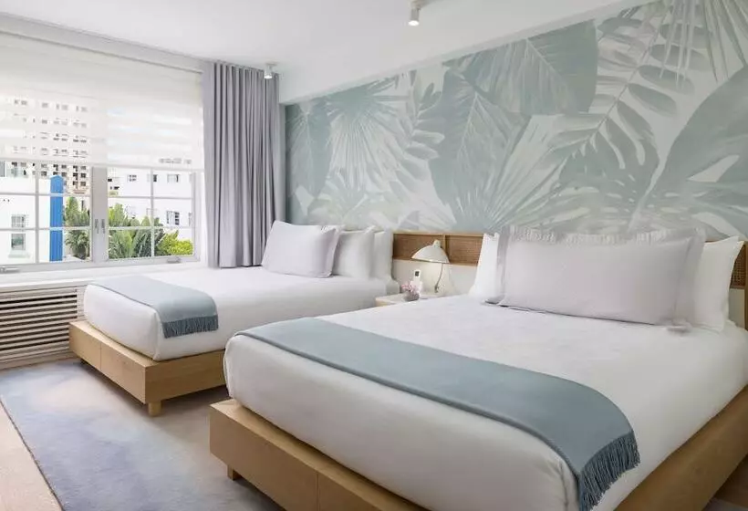 اتاق لوکس, The Gabriel Miami South Beach, Curio Collection By Hilton