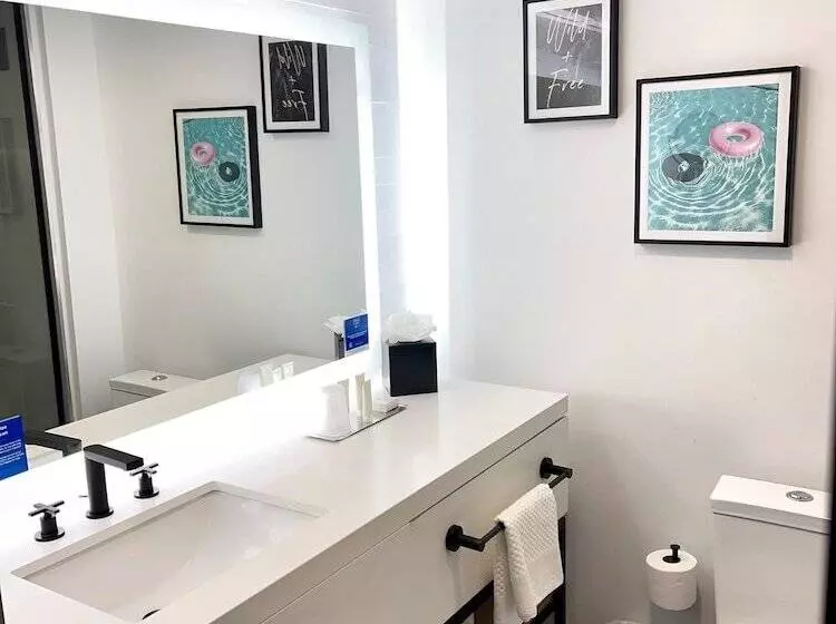 身障者適用ダブルベッド付きスタンダードルーム, The Landing At Hampton Marina, Tapestry Collection By Hilton