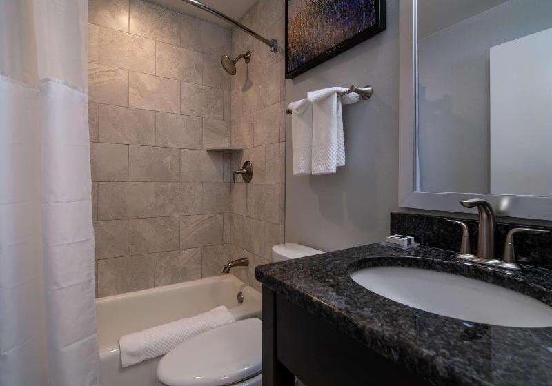 스탠다드 룸 킹사이즈 침대, West End Washington Dc, Tapestry Collection By Hilton
