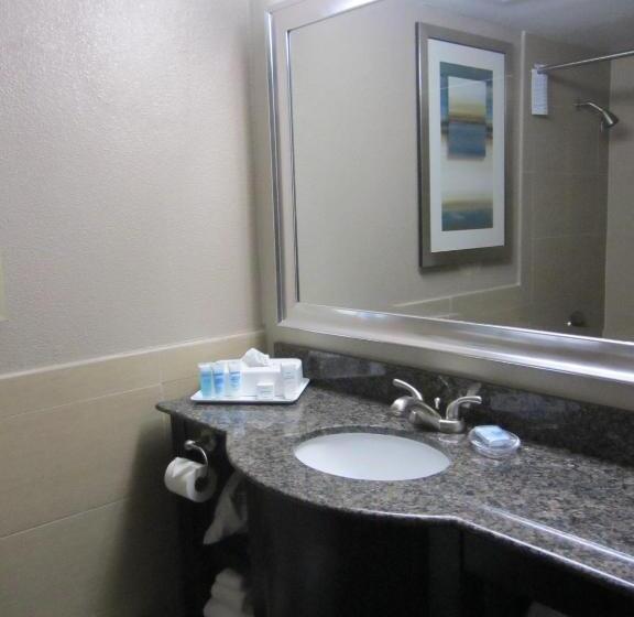 غرفة سوبيريور سرير كينج, Wyndham Garden Midland