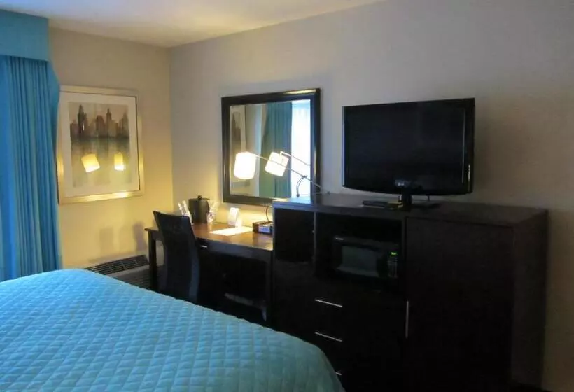 اتاق سوپریور با تخت بزرگ, Wyndham Garden Midland