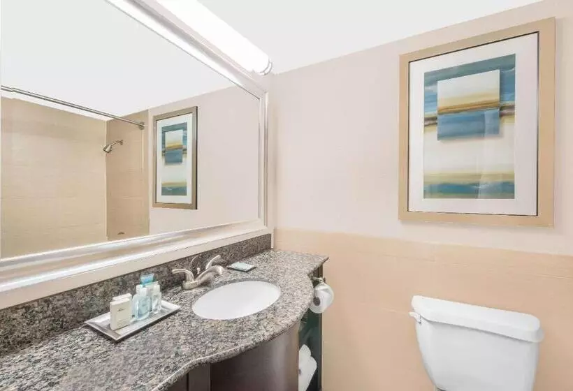 اتاق استاندارد با تخت بزرگ, Wyndham Garden Midland